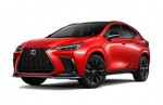 NX