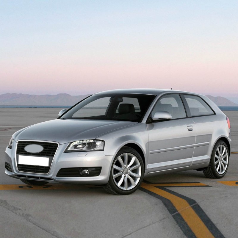 Audi A3 HB 2009-2012 Anti Alerjen Klima Polen Filtresi 1K1819669