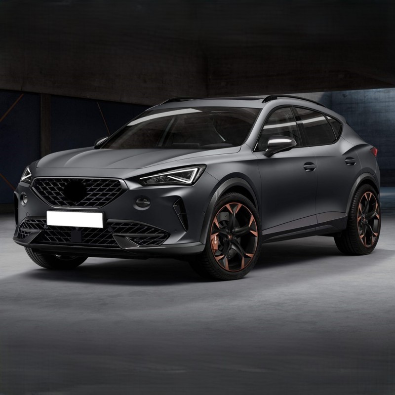 Cupra Formentor 2021-2024 Freciousplus Klima Polen Filtresi 5Q0819669