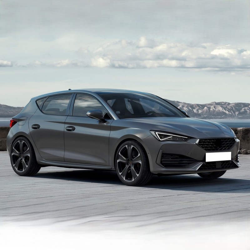 Cupra Leon 2021-2024 Freciousplus Klima Polen Filtresi 5Q0819669