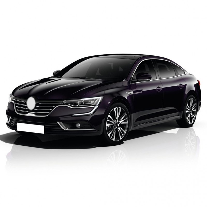 Renault Talisman 2016-2022 Cam Suyu Deposu Dolum Kapağı