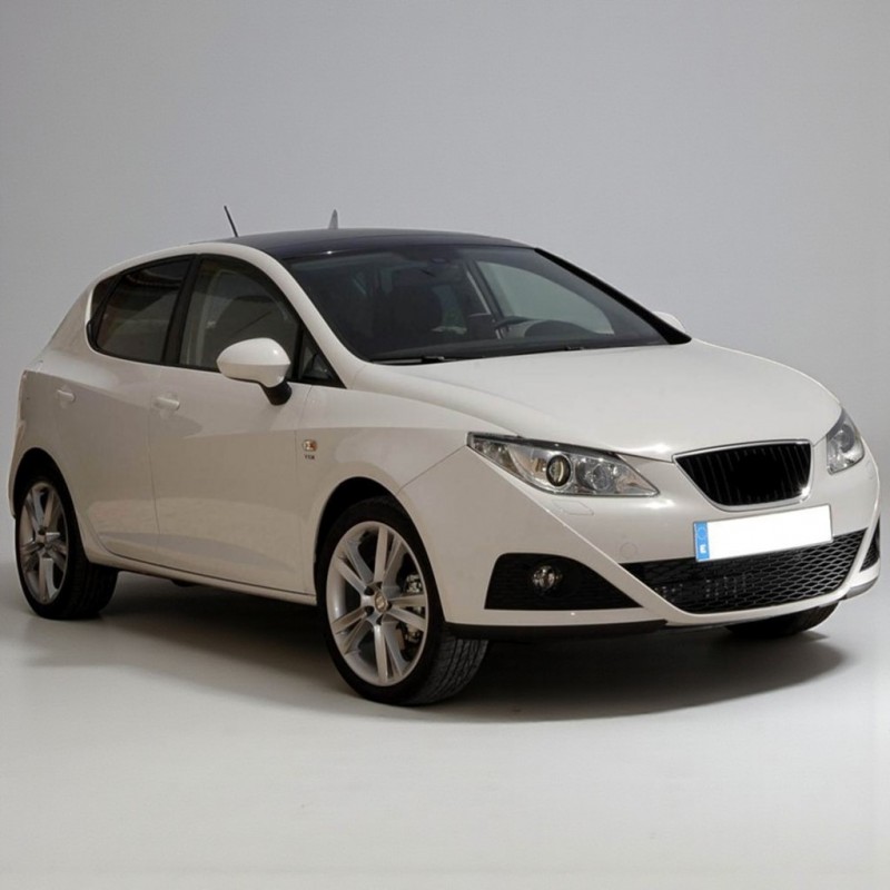 Seat İbiza 2009-2012 Sağ Arka Kapı Kolu İç Braketi 5N0839885H