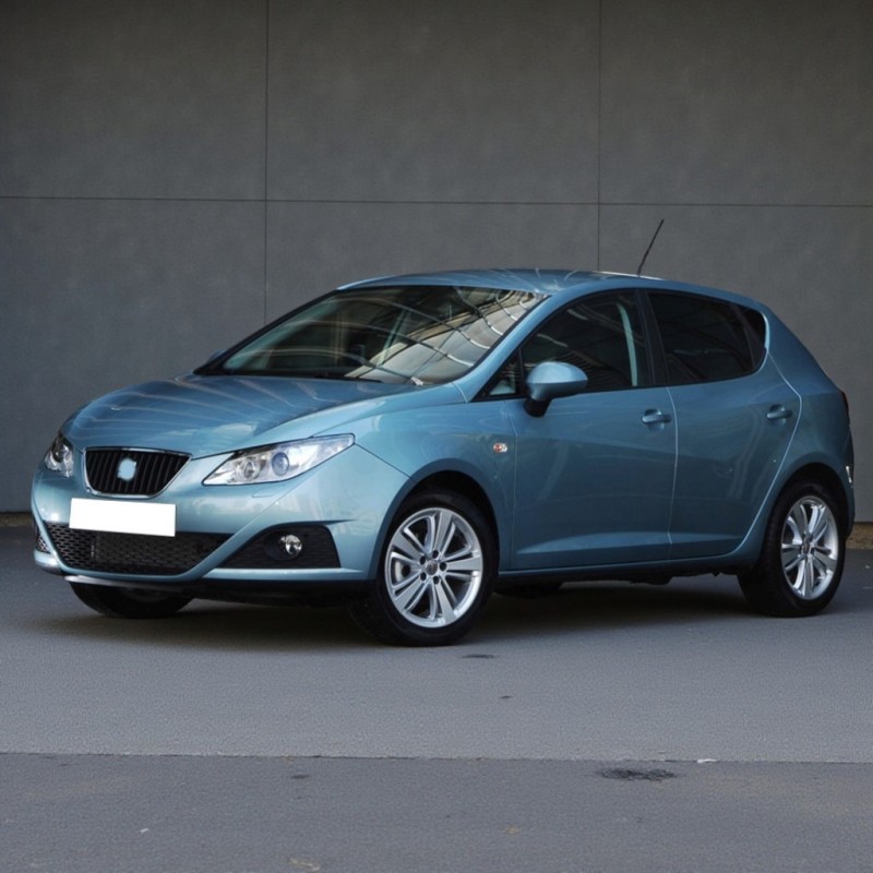 Seat İbiza 2009-2012 Sol Arka Kapı Kolu İç Braketi 5N0839885H