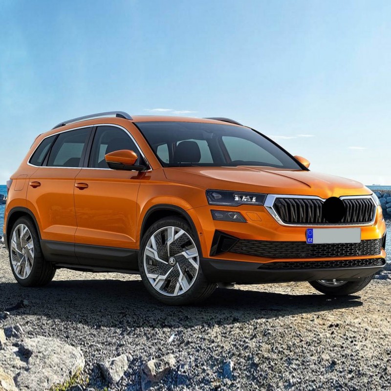 Skoda Kodiaq 2022-2024 1.5TSi Motor Filtre Bakım Seti Mann