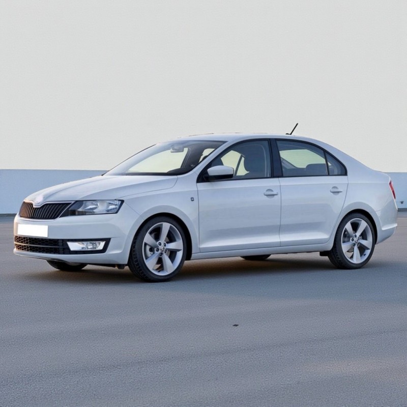 Skoda Rapid 2012-2020 Sol Arka Kapı Kolu İç Braketi 5N0839885H